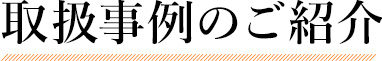 取扱事例のご紹介